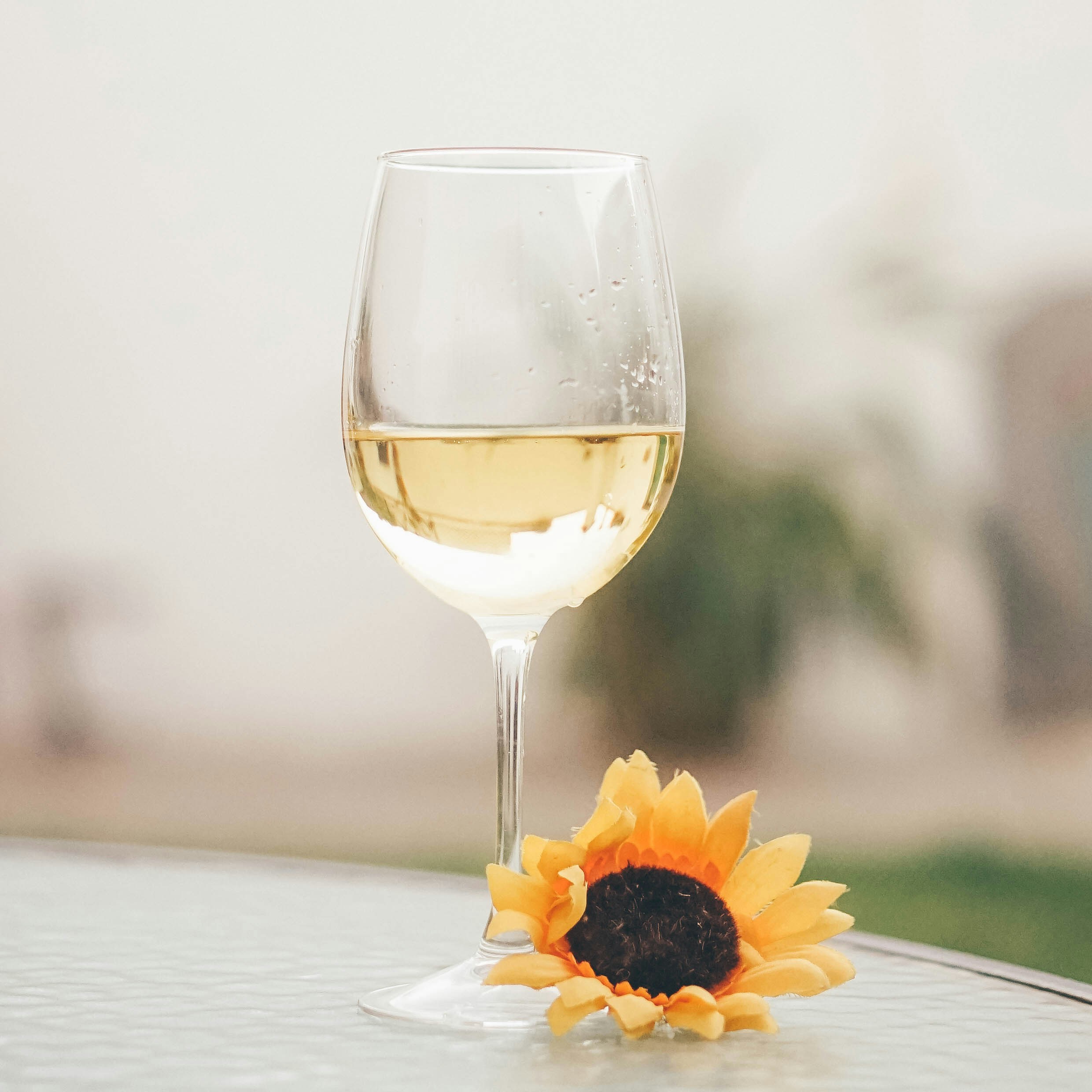 Vintage White Wine Bottle